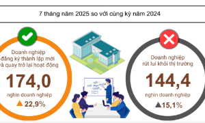 Gam màu tương phản trong bức tranh doanh nghiệp 7 tháng đầu năm 2025