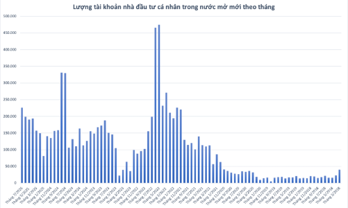 Nhà đầu tư cá nhân ồ ạt mở tài khoản chứng khoán, lập kỷ lục một năm