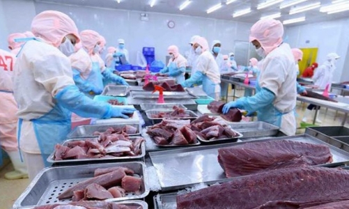 “Chạy đua” với thuế đối ứng, xuất khẩu thủy sản tăng hơn 17%