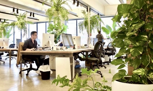 Nhu cầu nhân lực xanh tăng cao toàn cầu