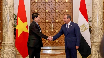 Vietnam - Egypt ties upgraded to Comprehensive Partnership