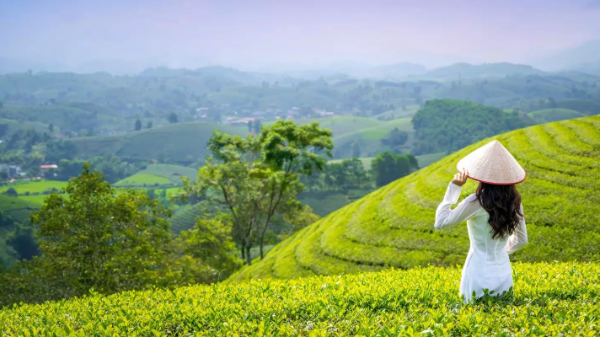 Du lịch Việt Nam khởi sắc mạnh mẽ trong 7 tháng đầu năm