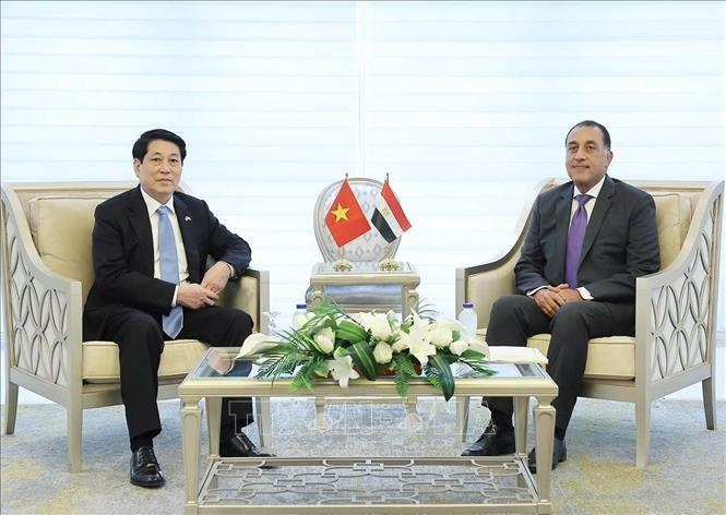 President Lương Cường (left) meets with Egyptian Prime Minister Mostafa Madbouly in Cairo on August 5. (Photo: VNA)
