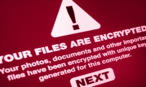 Ransomware đang trở thành nỗi ám ảnh đối với nhiều doanh nghiệp.