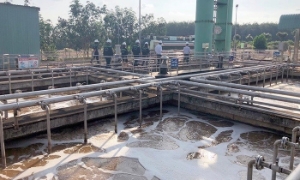 Cắt giảm, đơn giản hóa nhiều thủ tục sản xuất, đầu tư kinh doanh lĩnh vực nông nghiệp và môi trường