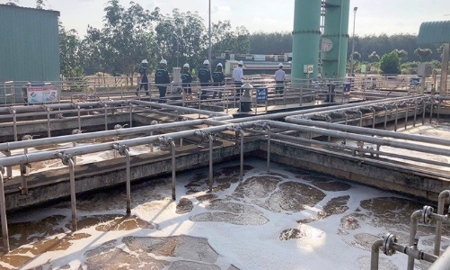 Cắt giảm, đơn giản hóa nhiều thủ tục sản xuất, đầu tư kinh doanh lĩnh vực nông nghiệp và môi trường