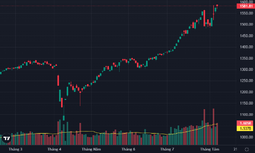 Tiền lớn xoay vòng, đến lượt cổ phiếu vừa và nhỏ lại “nóng”