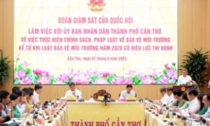 Giám sát thực hiện chính sách pháp luật bảo vệ môi trường tại Cần Thơ