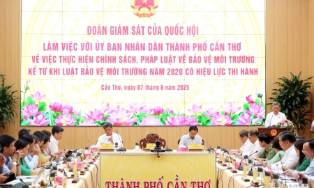 Giám sát thực hiện chính sách pháp luật bảo vệ môi trường tại Cần Thơ
