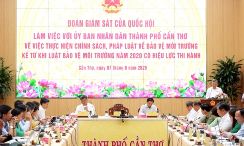 Giám sát thực hiện chính sách pháp luật bảo vệ môi trường tại Cần Thơ