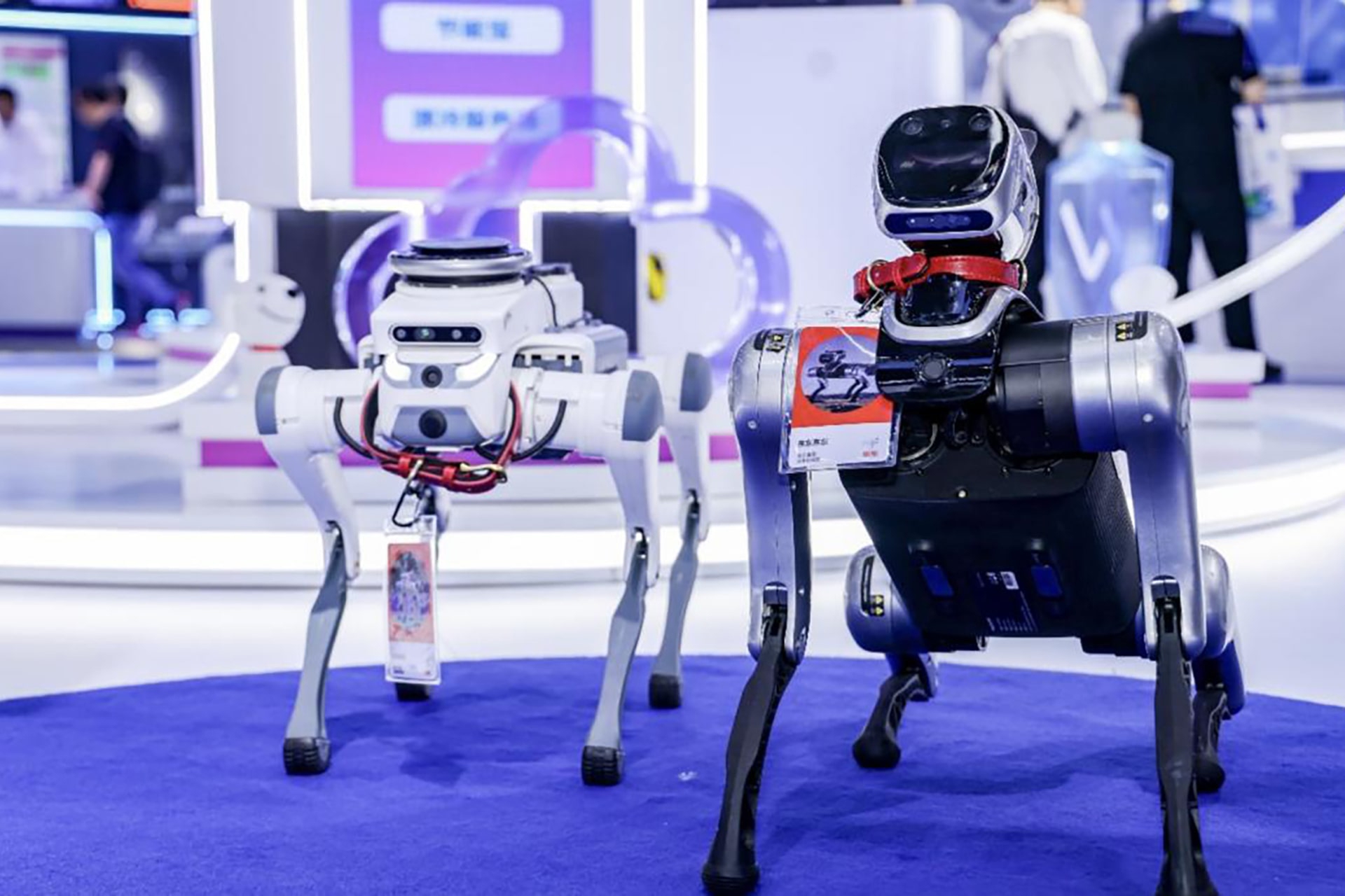 Hai mẫu robot trưng bày tại WAIC 2025