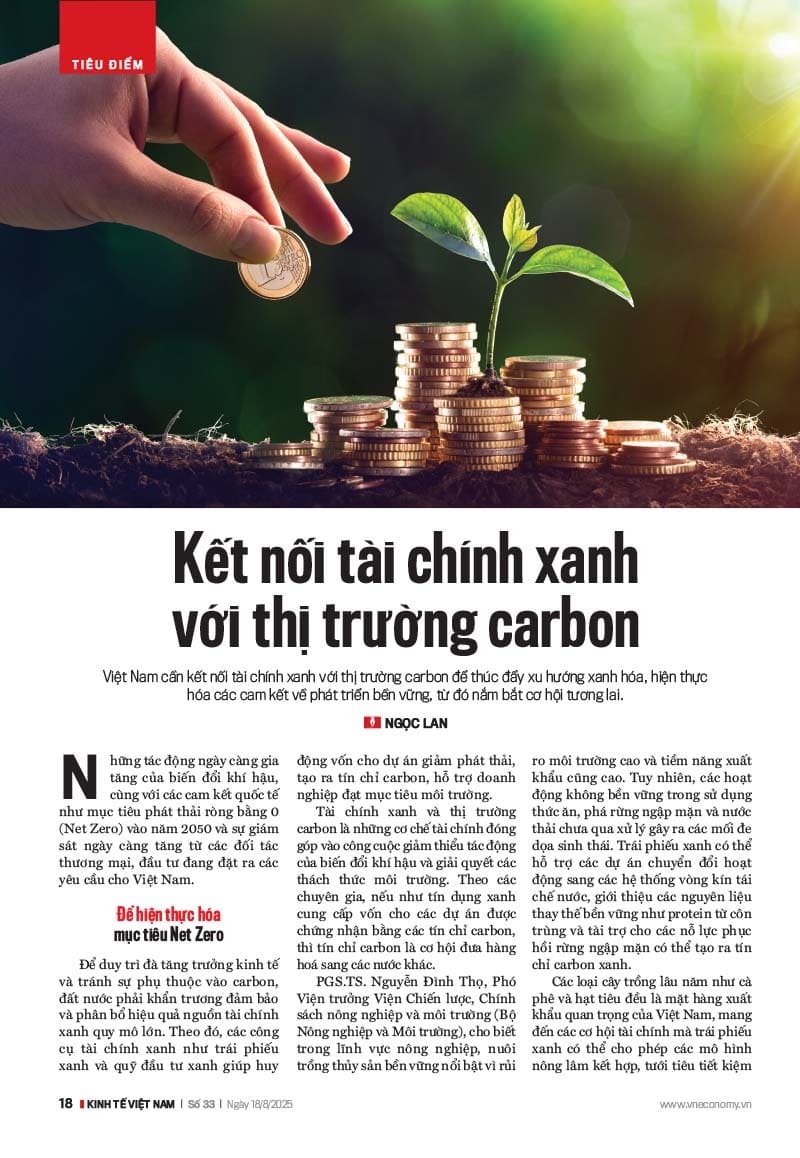 VnEconomy