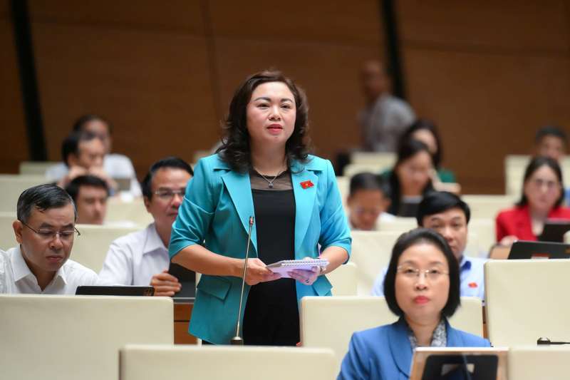 Đại biểu Đặng Bích Ngọc – Đoàn Đại biểu Quốc hội tỉnh Hoà Bình - Ảnh: Quochoi.vn