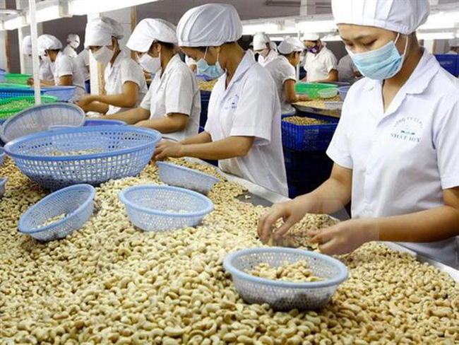 Nông sản Việt Nam là một trong những mặt hàng chính xuất khẩu sang Nga.