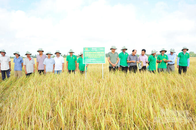 Ảnh minh hoạ (Nguồn: Bộ Nông nghiệp và Môi trường).