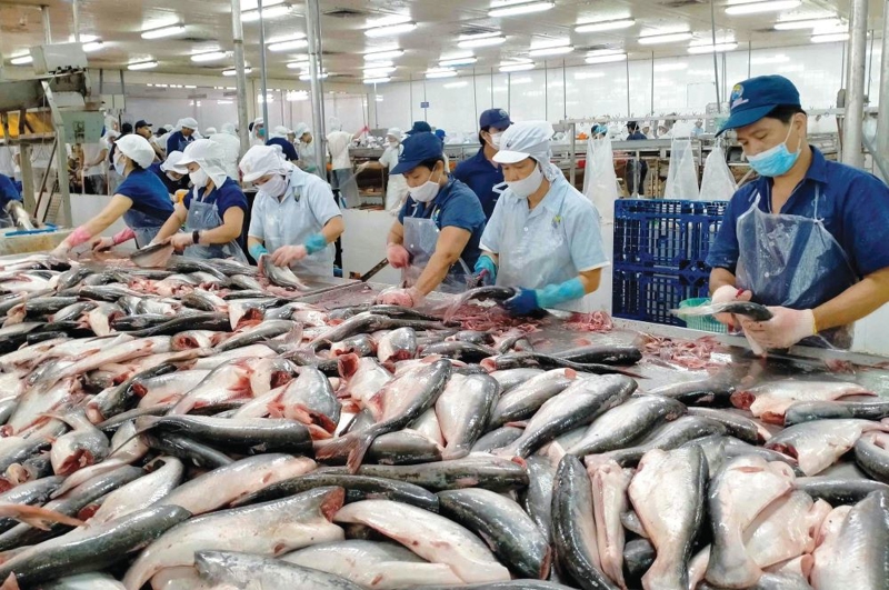 Xuất khẩu cá tra sẽ vẫn lạc quan