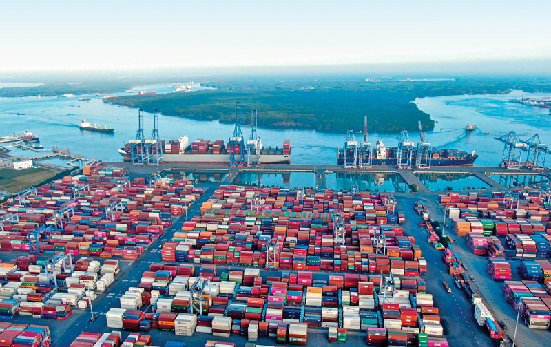Kết quả xuất khẩu nửa đầu năm 2025 đã cơ bản đạt và vượt mức đề ra.