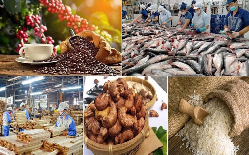 Đa dạng hoá thị trường cho hàng Việt Nam.