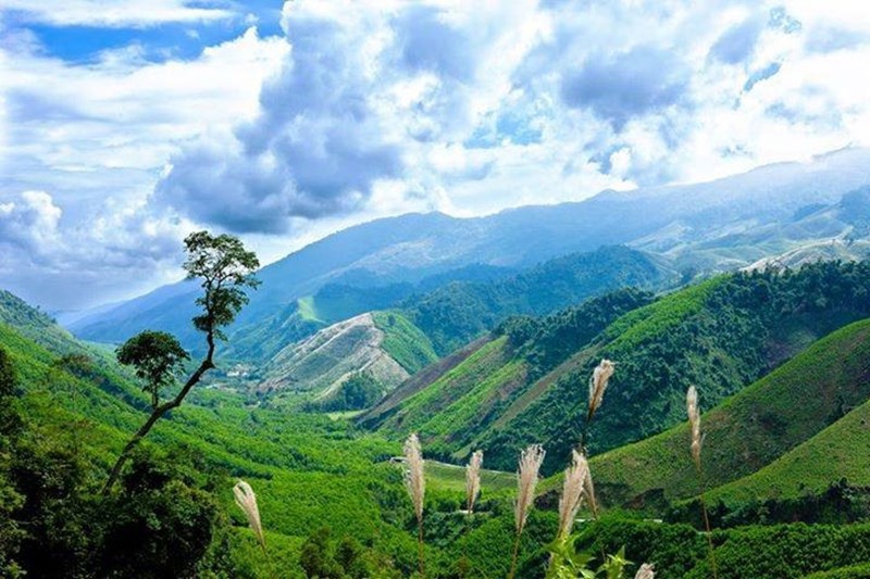 Rừng A Lưới trong sương sớm