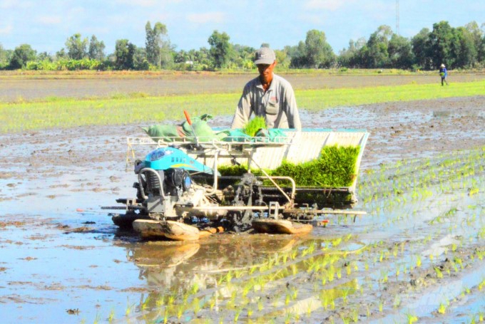 Chuyển đổi ĐBSCL thành vùng đồng bằng phát thải thấp là một yêu cầu bức thiết. Ảnh minh họa.