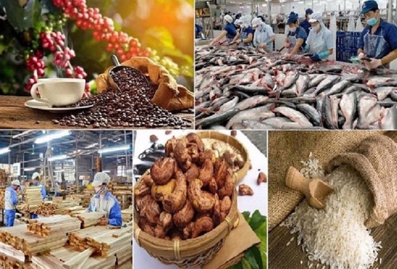Xuất khẩu nông lâm thuỷ sản vẫn tăng trưởng mạnh trong 7 tháng đầu năm 2025.