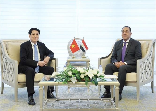President Lương Cường (left) meets with Egyptian Prime Minister Mostafa Madbouly in Cairo on August 5. (Photo: VNA)
