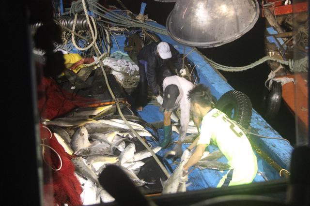 Một tàu cá của ngư dân Quảng Trị bất ngờ trúng đậm 150 tấn cá hồi tháng 3 vừa qua - Ảnh: Dân Trí. <br>