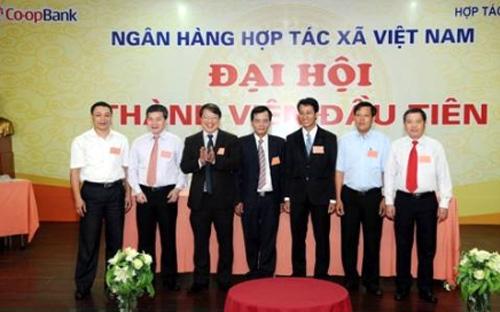 Ngân hàng Hợp tác xã là ngân hàng thương mại đặc biệt, 100% vốn ngân sách nhà nước, hoạt động trong hệ thống các tổ chức tài chính vi mô.