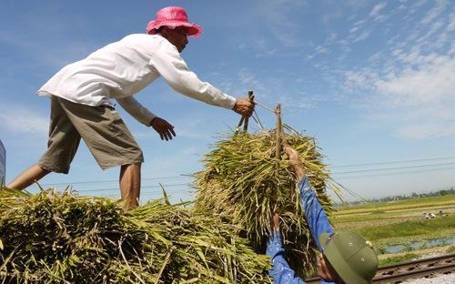 Bộ Nông nghiệp và Phát triển nông thôn, cho biết dòng vốn FDI vào lĩnh 
vực nông nghiệp còn hạn chế, các dự án FDI trong nông nghiệp nhỏ cả về 
quy mô và tỷ trọng vốn đầu tư.