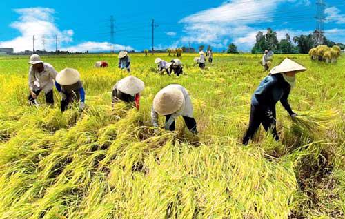 Bộ trưởng Cao Đức Phát khẳng định việc nông dân tìm việc làm ở khu vực kinh tế phi nông nghiệp sẽ là xu hướng tất yếu. 