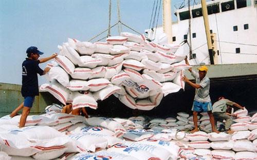 Hiện các công ty xuất khẩu gạo của Việt Nam đã theo dõi nhu cầu của thị 
trường Trung Quốc sau trận bão tàn phá khu vực phía Nam của nước này 
cách đây hơn 1 tuần.