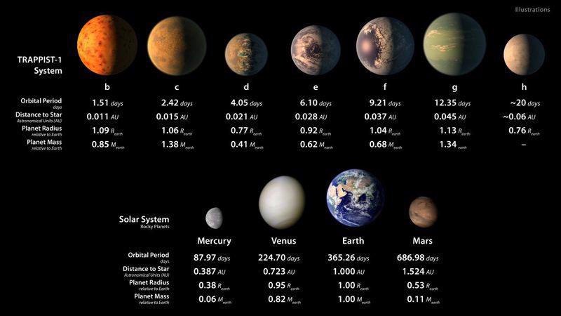 Hình minh họa của NASA về 7 hành tinh thuộc hệ TRAPPIST-1 (hàng trên) và 4 trong số các hành tinh thuộc hệ Mặt Trời gồm sao Thủy, sao Kim, Trái Đất, và sao Hỏa (hàng dưới).<br>