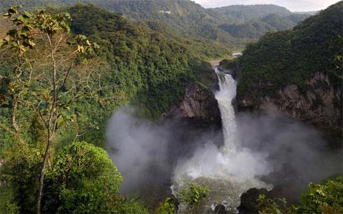 Một góc rừng nguyên sinh của Ecuador.<br>