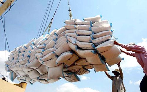 Giá gạo Việt Nam được dự báo sẽ còn tiếp tục giảm khi vụ gặt tiếp theo tại đồng bằng sông Cửu Long bắt đầu.