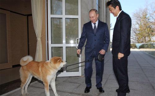 Tổng thống Nga Vladimir Putin cùng chú chó Yume của ông chào đón Thủ tướng Nhật Bản Shinzo Abe tại dinh thự Bocharov Ruchey ở Sochi tháng 2/2014, khi ông Abe tới Nhật để dự Thế vận hội mùa đông Sochi - Ảnh: Getty/Bloomberg.<br>