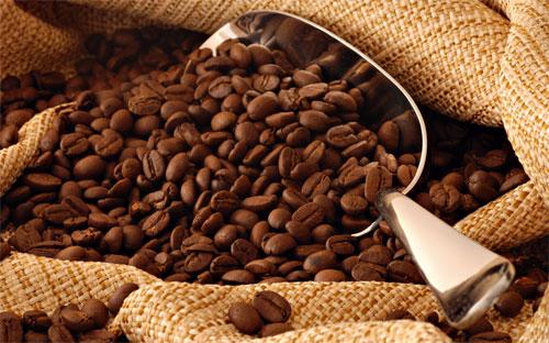 Giá cà phê robusta thị trường quốc tế đã giảm khoảng 7% kể từ cuối tháng
 9 năm ngoái khi Việt Nam bắt đầu thu hoạch niên vụ cà phê 2012-2013.