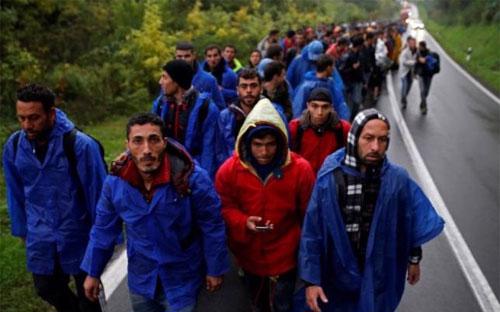Một đoàn người di cư di chuyển ở Babska, Croatia, gần biên giới với Serbia ngày 19/1 - Ảnh: Reuters. 