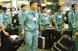 Tính đến hết tháng 3/2010, số lao động Việt Nam đang làm việc tại Đài Loan là hơn 80 nghìn người, đứng thứ 2 sau Indonesia với hơn 142 nghìn người.