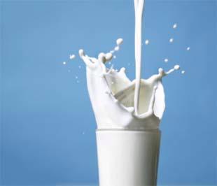 “Hiện nay ở Việt Nam, sữa vẫn chủ yếu được dùng cho trẻ em, người già và người bệnh nên ngoài đòi hỏi về an toàn thực phẩm thì hàm lượng dinh dưỡng là yếu tố vô cùng quan trọng".