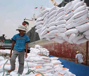 Năm 2009, Bộ Nông nghiệp và Phát triển nông thôn đặt ra chỉ tiêu xuất khẩu 4,5 triệu tấn gạo.
