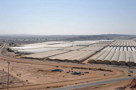 Một nông trại giữa sa mạc Arava, một trong những vùng đất khô cằn nhất thế giới.