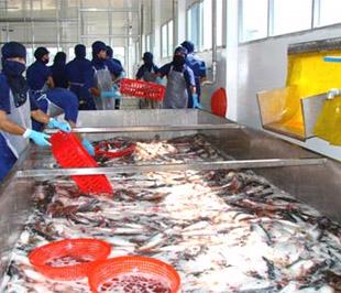 Trong thời gian qua, những thông tin không tốt, thậm chí là bôi nhọ con cá tra, cá basa của Việt Nam đã xảy ra ở nhiều thị trường.
