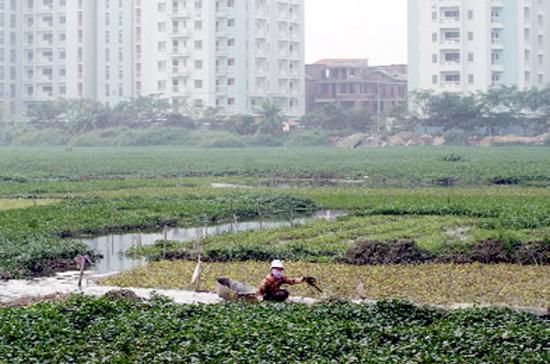 Phản ánh của đại biểu về tình trạng khó khăn của người dân trong đầu tư sản xuất do sắp hết thời hạn sử dụng đất nông nghiệp là “đúng thực tế”, Bộ trưởng Nguyễn Minh Quang thừa nhận.