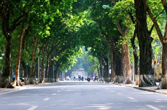 Đường Phan Đình Phùng, nằm trong khu trung tâm chính trị Ba Đình, Hà Nội - Ảnh: Vũ Ngọc Thiện.