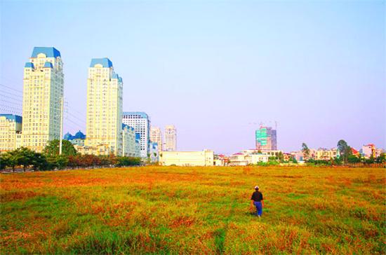 Nhiều kế hoạch đầu tư của các địa phương không thực hiện được vì đấu giá đất không đạt kế hoạch.