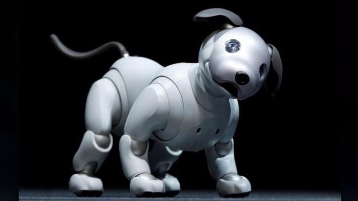 Chú chó máy AIBO mới của Sony - Ảnh: Reuters.