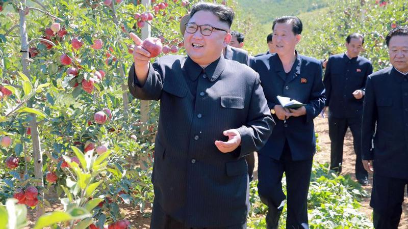 Nhà lãnh đạo Triều Tiên Kim Jong Un và các phụ tá trong một chuyến thăm nông trại - Ảnh: KCNA.