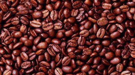 Chính phủ Brazil dự báo sản lượng cà phê của nước này sẽ đạt 58 triệu bao trong niên vụ 2018/2019, mức cao nhất từ trước đến nay.