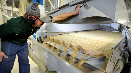 Trong một nhà máy sơ chế đậu tương ở bang North Dakota, Mỹ - Ảnh: Reuters.