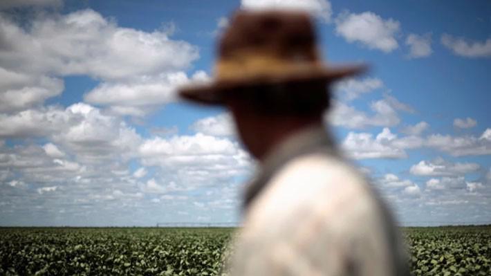 Người nông dân trên một cánh đồng đậu tương ở Brazil vào năm 2014 - Ảnh: Reuters/SCMP.